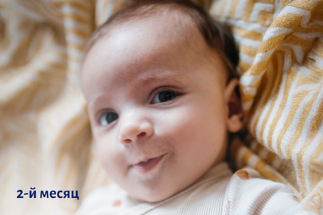 2-й месяц